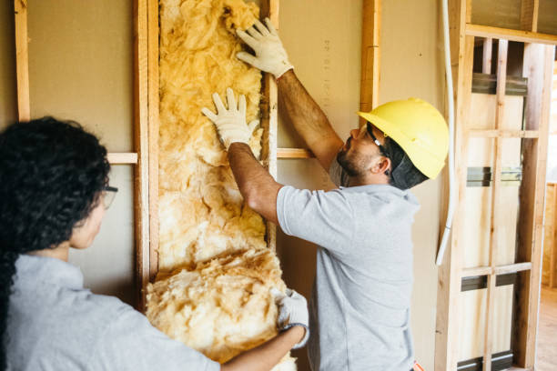 Best Soundproof Insulation Installation  in Melrose Park, IL