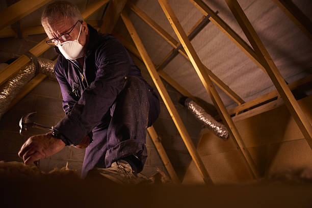 Best Affordable Insulation Services  in Melrose Park, IL