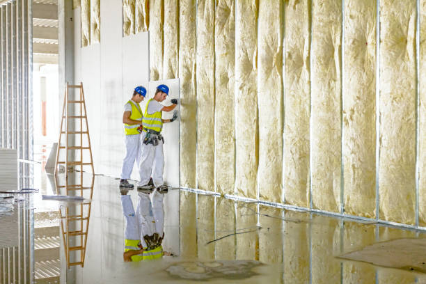 Best Commercial Insulation Contractor  in Melrose Park, IL